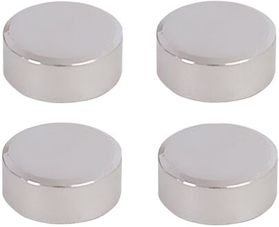 Praxis Spiegelklemmen Chroom 4 Stuks