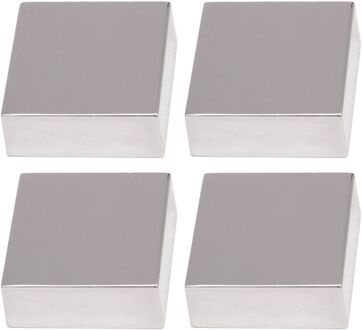 Praxis Spiegelklemmen Chroom 4 Stuks