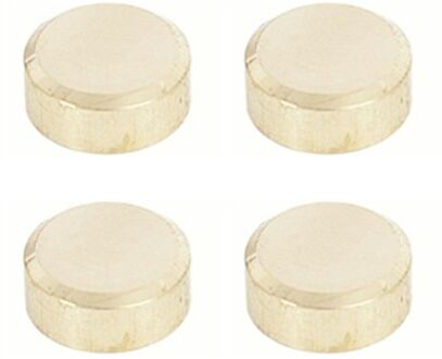 Praxis Spiegelklemmen Goudkleurig 4 Stuks