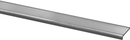 Praxis Traplijst Aluminium 6x25mm 200cm