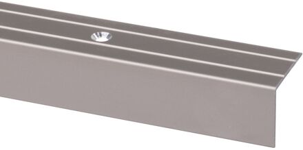 Praxis Trapprofiel Rvs 24x20mm 190cm