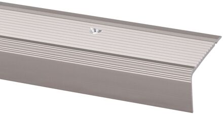 Praxis Trapprofiel Rvs 45x23mm 95cm