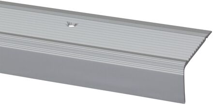 Praxis Trapprofiel Zilver 45x23mm 190cm