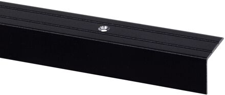 Praxis Trapprofiel Zwart 24x20mm 95cm