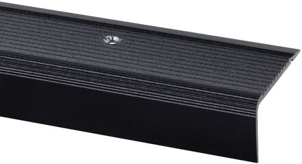 Praxis Trapprofiel Zwart 45x23mm 95cm