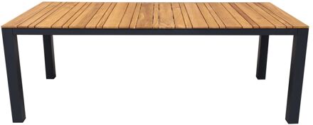 Praxis Tuintafel Limoux Aluminium/teakhout 215x100cm