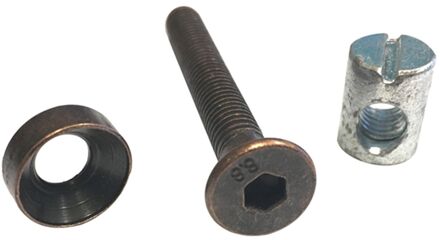 Praxis Universele Schroef Staal - 6x50mm - 4 Stuks