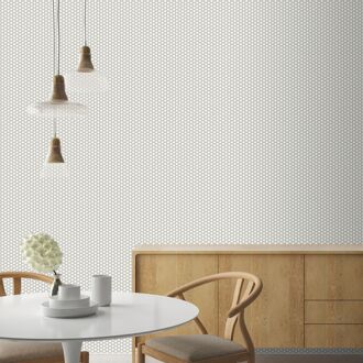 Praxis Vliesbehang Assorti 2022-2024 18510 - Grijs - Wit - 10,05m X 53cm