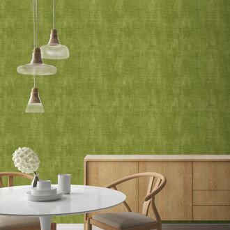 Praxis Vliesbehang Assorti 2022-2024 18585 - Grasgroen - 10,05m X 53cm