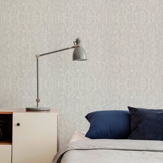 Praxis Vliesbehang Assorti 2022-2024 32268 - Lichtzilver - Metallic - Gewolkt Grijs - 10,05m X 53cm