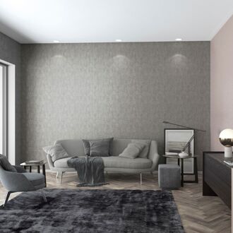 Praxis Vliesbehang Assorti 2022-2024 32609 - Donkergrijs - Roségoud - 10,05m X 53cm
