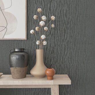 Praxis Vliesbehang Assorti 2022-2024 33967 - Donkergrijs - Grafiet - 10,05m X 53cm