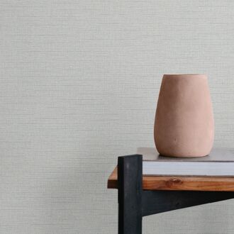 Praxis Vliesbehang Assorti 2022-2024 6809-10 - Grijs Met Een Tintje Lichtblauw - 10,05m X 53cm