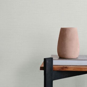 Praxis Vliesbehang Assorti 2022-2024 6809-30 - Heel Licht Grijs - 10,05m X 53cm