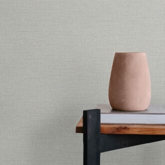 Praxis Vliesbehang Assorti 2022-2024 6809-50 - Middengrijs Met Lila Paars - 10,05m X 53cm