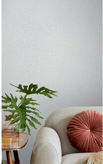 Praxis Vliesbehang City Romance 35116 - Lichtgrijs - Muisgrijs - Zilver - Metallic - 10,05 M X 53 Cm