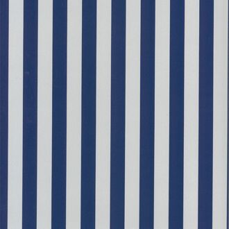 Praxis Vliesbehang Fabulous World 67103-2 - Blauw - Grijs - 10,00m X 52cm