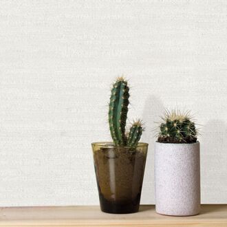 Praxis Vliesbehang Jacquard Lijnen - Parelmoer - 10,05m X 53cm