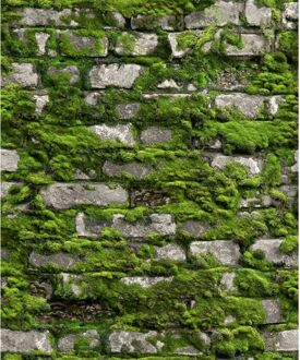 Praxis Vliesbehang Stenen Muur Mos - Groen - Mosgroen - Grijs - Donkergrijs - Offblack - 10,05m X 53cm