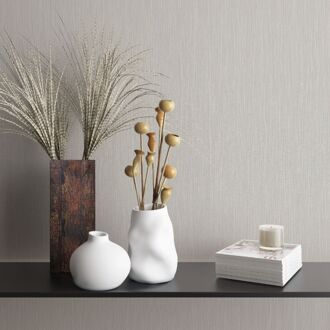 Praxis Vliesbehang Uni - Lichtgrijs - 10,05 M X 53 Cm