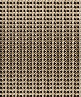 Praxis Vliesbehang Webbing - Naturel - Beige - Zwart - 10,00 M X 53 Cm