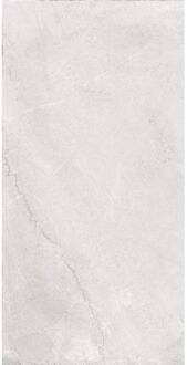 Praxis Vloer- En Wandtegel Flora Marble - Marmerlook - Zilver - 30x60cm - 1,44m²