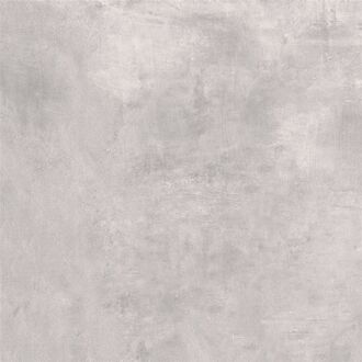 Praxis Vloertegel Ares - Betonlook - Grijs - 80x80cm - 1,28m²