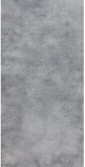 Praxis Vloertegel Cement - Betonlook - Donkergrijs - 60x120cm - 1,44m²