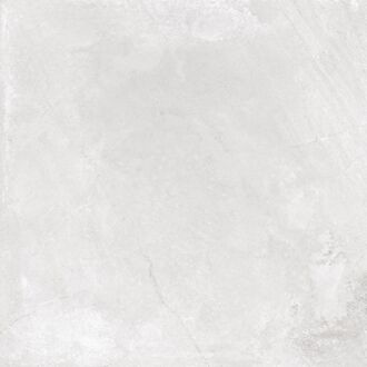 Praxis Vloertegel Flora Marble - Marmerlook Zilver - 60x60cm - 1,44m²