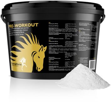 Pre workout paard
