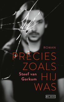 Precies zoals hij was - Steef van Gorkum - ebook