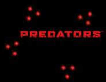 Predator Targeted Logo Women's Cropped Hoodie - Black - XS - Zwart