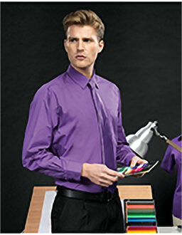 Premier Heren Premier Poplin Formeel Overhemd Met Lange Mouwen (Rijke Violet)