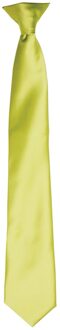 Premier Satijnen stropdas voor volwassenen (Kalk) Groen
