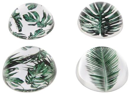 Presse papier glas 'Botanisch' Ø8x4cm