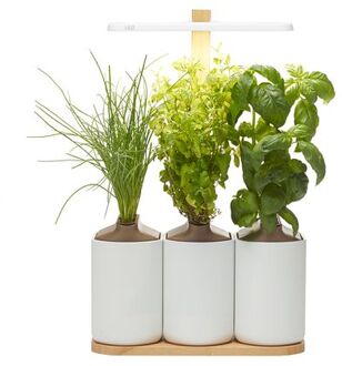 Pret a Pousser Indoor Garden Lilo Connect