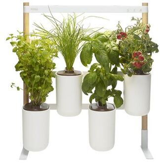 Pret a Pousser Indoor Garden Modulo 2