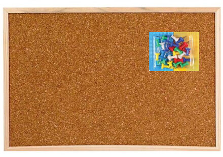 Prikborden/memoborden naturel kurk met punaises 60 x 45 cm - Prikborden Multikleur