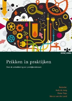 Prikken in praktijken - eBook Boom uitgevers Amsterdam (9460947158)