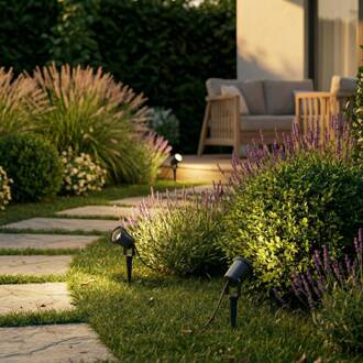 prikspots Nielas, set van 3, antraciet, stekker antraciet, helder