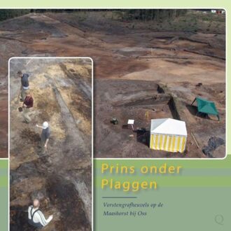 Prins onder plaggen - Boek Evert van Ginkel (9088900353)
