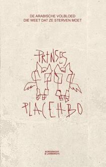 Prinses Placehbo -  Kato van Ermen (ISBN: 9789493428232)