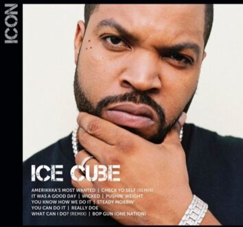 Priority Icon - Ice Cube
