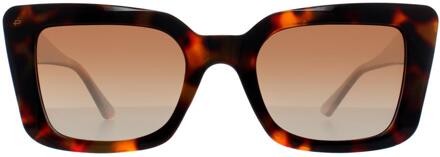 Prive Revaux Cat Eye Womens Bruin Gradient Buena Vista 2.0