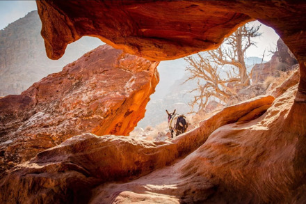 Privérondreis Ontdek Jordanië