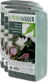 Pro Garden 3x stuks steekschuim/oase nat rechthoekig groen 20 x 10 x 7 cm - Hobbydecoratieobject