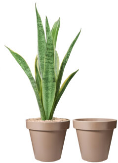 Pro Garden Bloempot - 2x - mokka bruin - rond - D40 cm - kunststof - plantenpot - tuin buiten