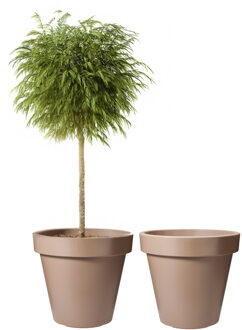 Pro Garden Bloempot - 2x - mokka bruin - rond - D50 cm - kunststof - plantenpot - tuin buiten