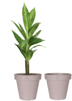 Pro Garden Bloempot - 2x - taupe - rond - D50 cm - kunststof - plantenpot - tuin buiten