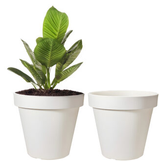 Pro Garden Bloempot - 2x - wit - rond - D25 cm - kunststof - plantenpot - tuin buiten